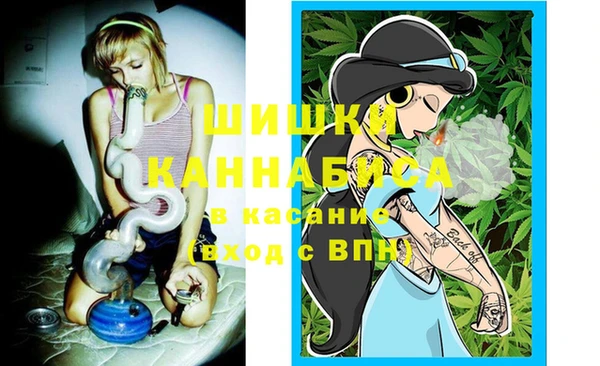 скорость Бикин