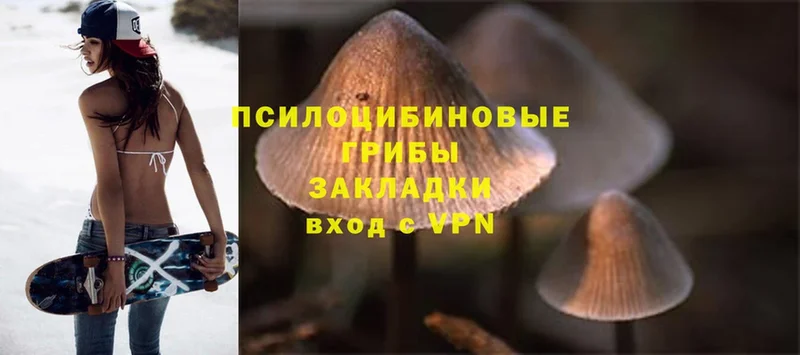 Галлюциногенные грибы Magic Shrooms  Ковдор 